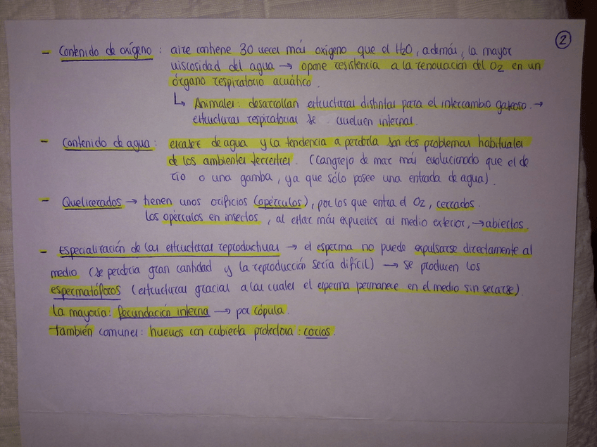 Miniatura del documento 050920123564.jpg