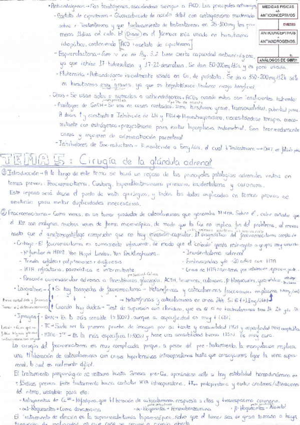 Miniatura del documento Endocrino 2.pdf