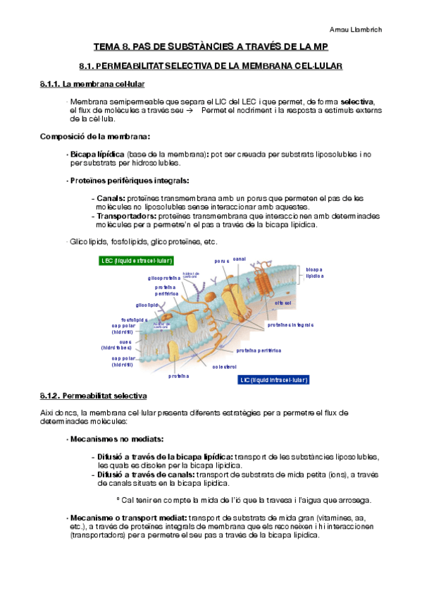 Miniatura del documento Apunts-Fisiologia-i-Fisiopatologia-I-Tema-8.pdf