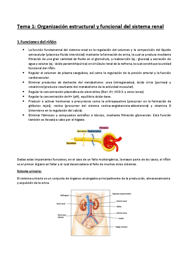 Miniatura del documento Tema-1.pdf
