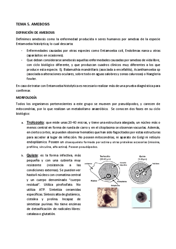 Miniatura del documento TEMA-5-Amebosis.pdf