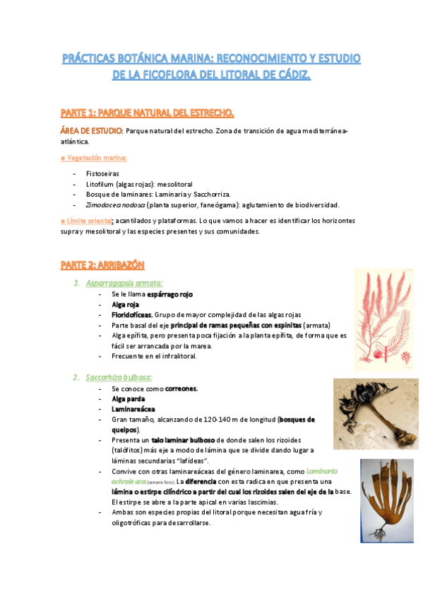 Miniatura del documento Práticas Tarifa-Cádiz.pdf