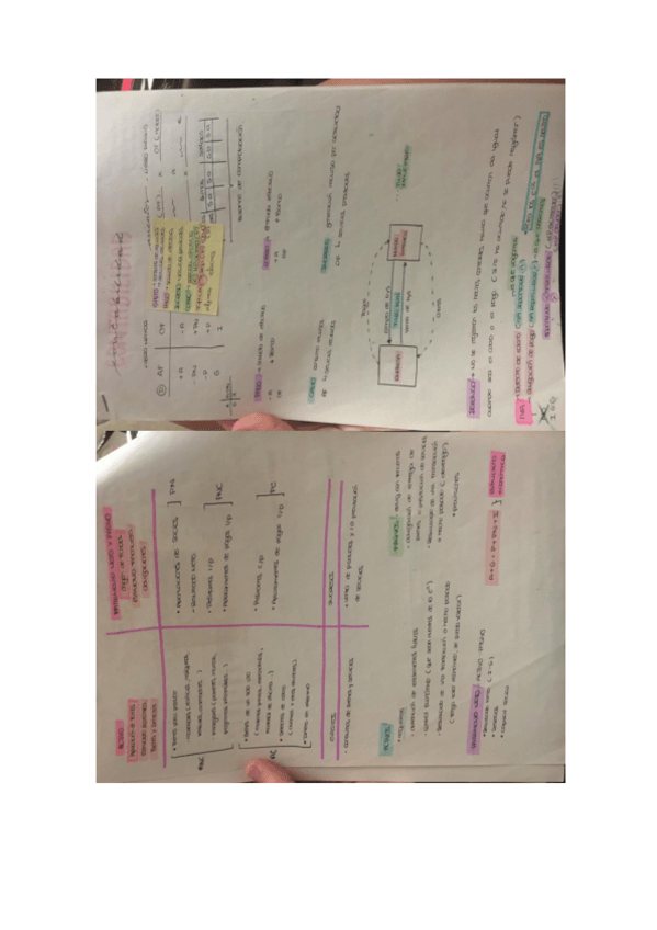 Miniatura del documento todos-los-ejercicios-y-teoria-necesaria-contabilidad-intro-temas-12345.pdf