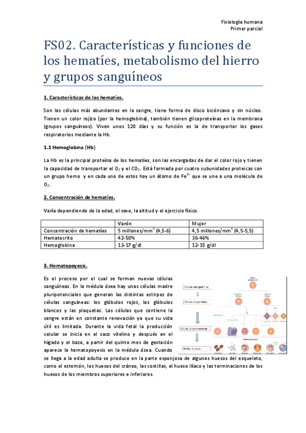 Miniatura del documento TEMA-3-FS02-Resumen.pdf
