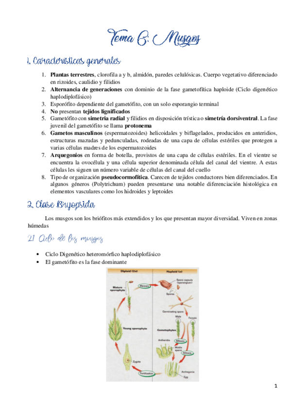 Miniatura del documento Tema-6.pdf