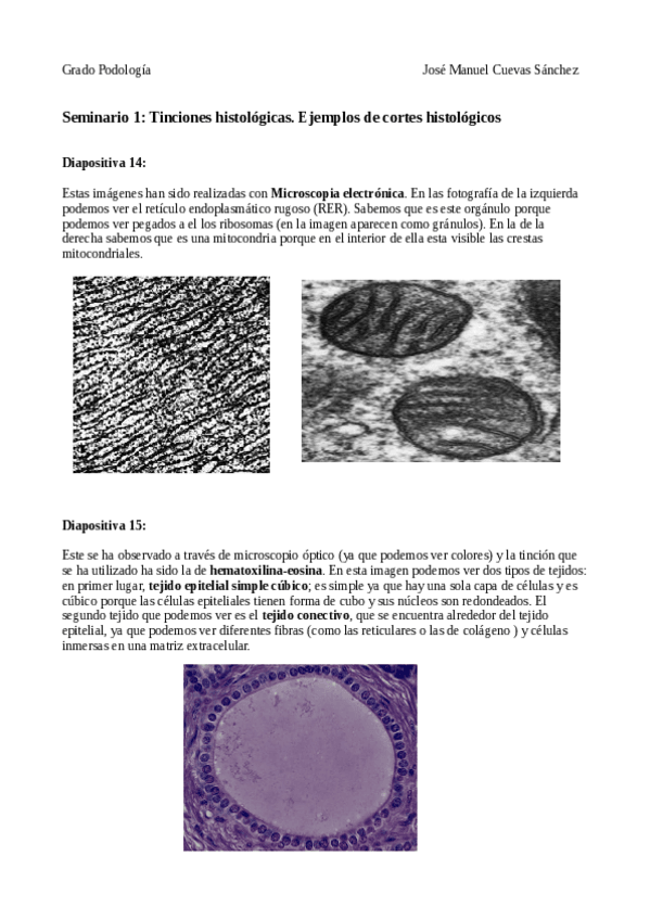 Miniatura del documento Seminario-1-tinciones-histologicas.pdf