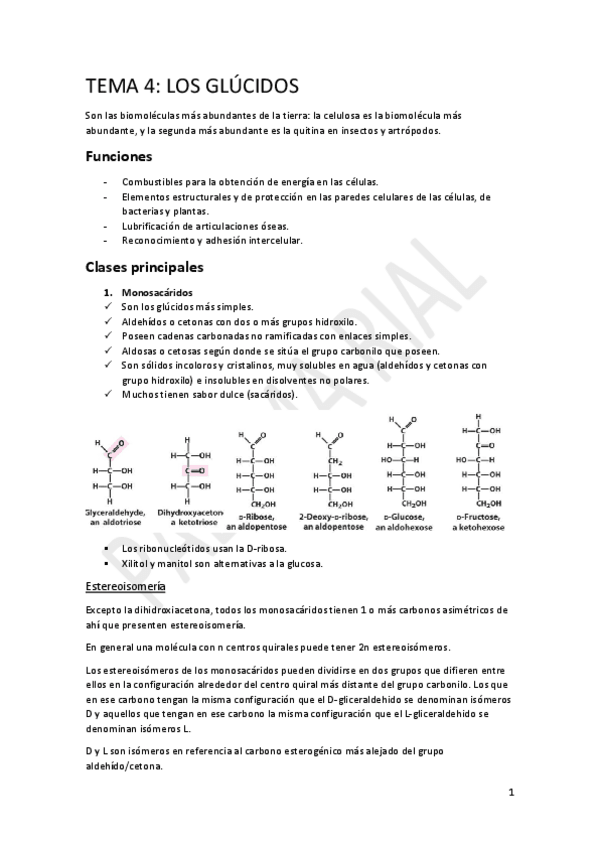 Miniatura del documento BIOQ.pdf
