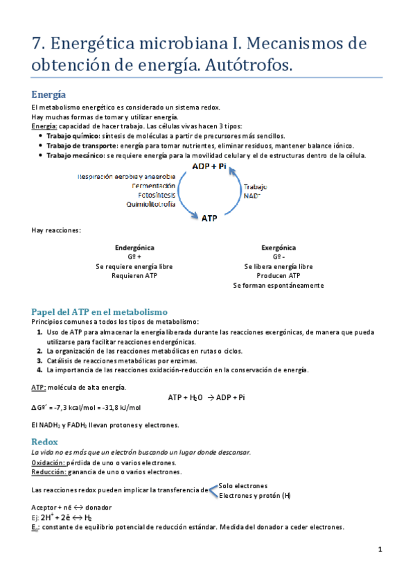 Miniatura del documento Tema-7.pdf