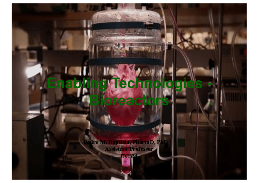 Miniatura del documento Enabling-Technologies-Bioreactors.pdf