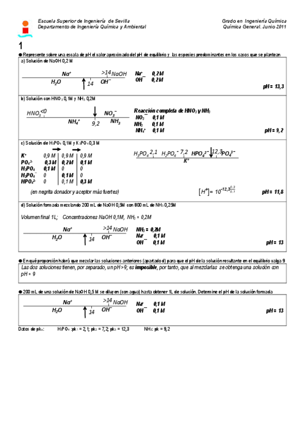 Miniatura del documento quimico_final_junio11_resuelto.pdf