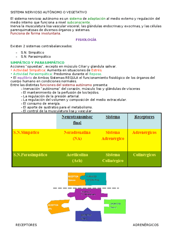 Miniatura del documento 6.docx