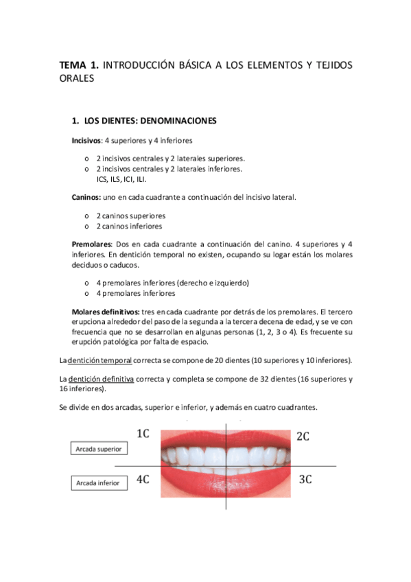 Miniatura del documento 2.pdf