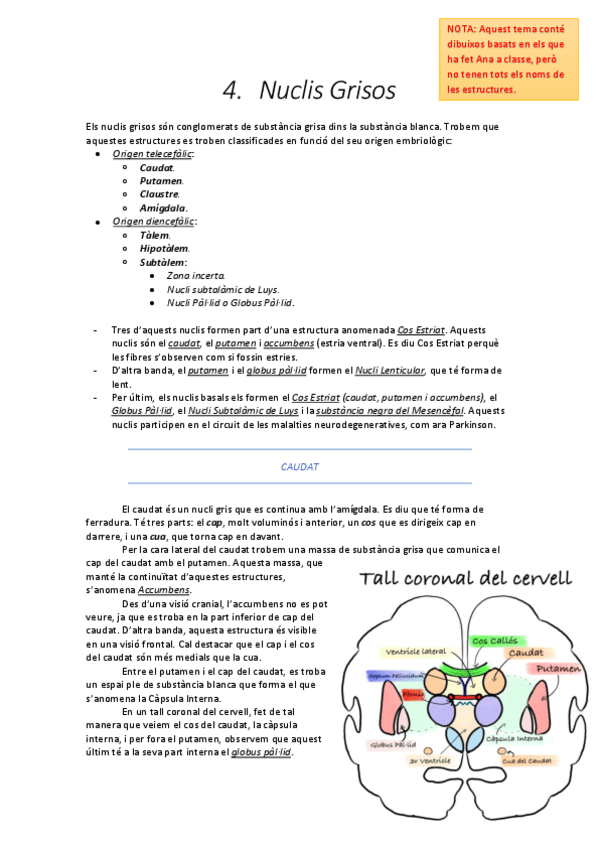 Miniatura del documento 4. Nuclis Grisos .pdf