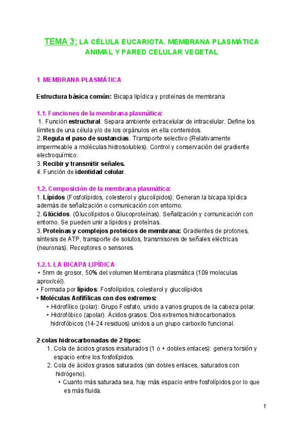 Miniatura del documento TEMA-3-biologia.pdf