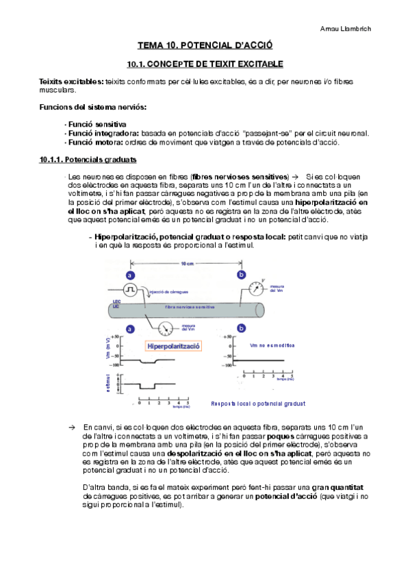 Miniatura del documento Apunts-Fisiologia-i-Fisiopatologia-I-Tema-10.pdf