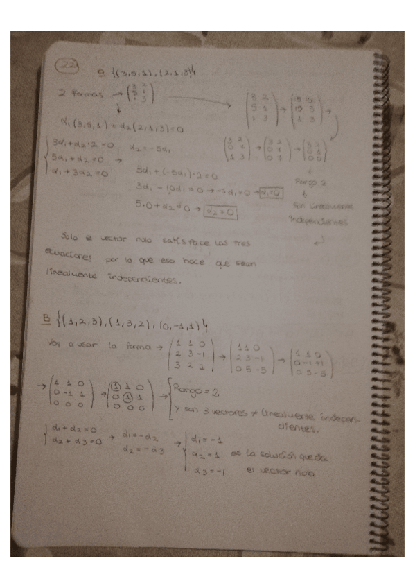 Miniatura del documento TEMA-DE-ALGEBRA-2-paginas-1-10.pdf