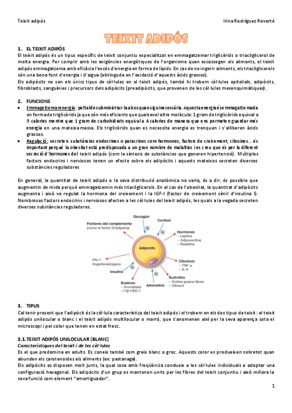 Miniatura del documento Teixit-adipos-histo-classe-invertida.pdf