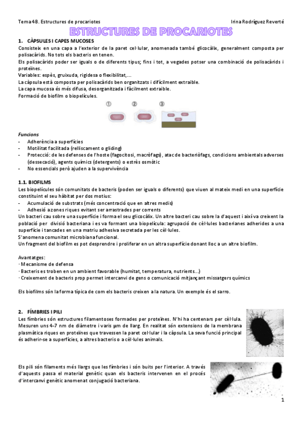 Miniatura del documento Tema-4B.pdf