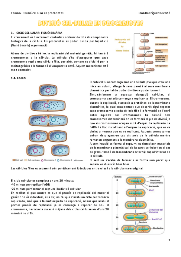 Miniatura del documento Tema-6.pdf