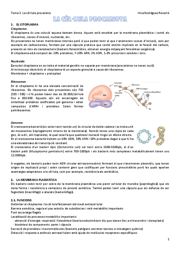 Miniatura del documento Tema-3.pdf