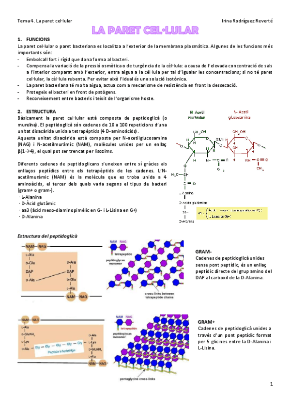 Miniatura del documento Tema-4.pdf
