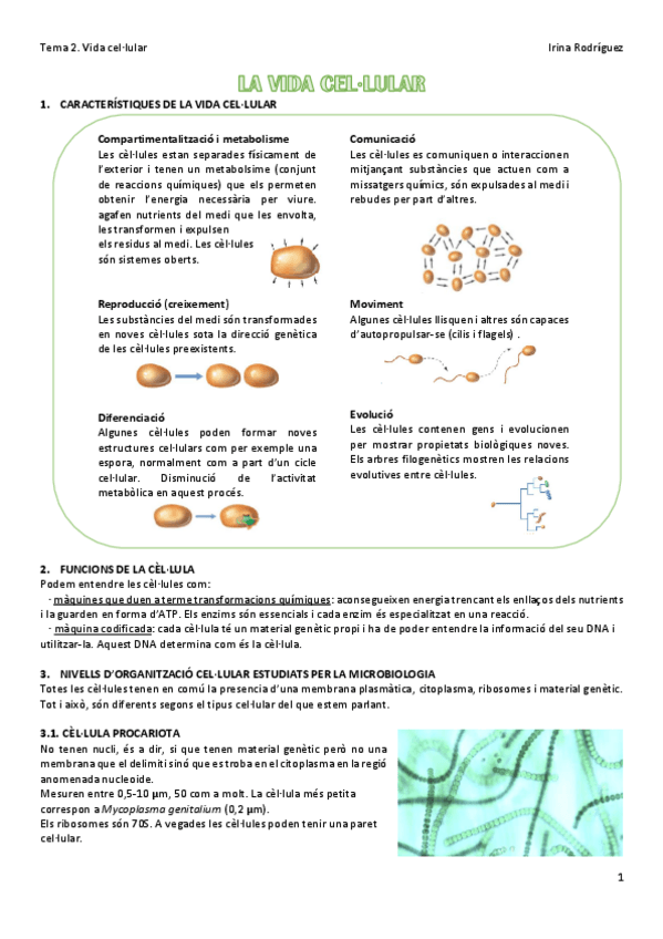 Miniatura del documento Tema-2-La-vida-cellular.pdf