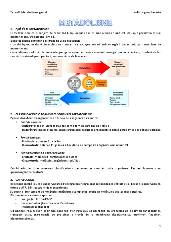 Miniatura del documento Tema-8.pdf