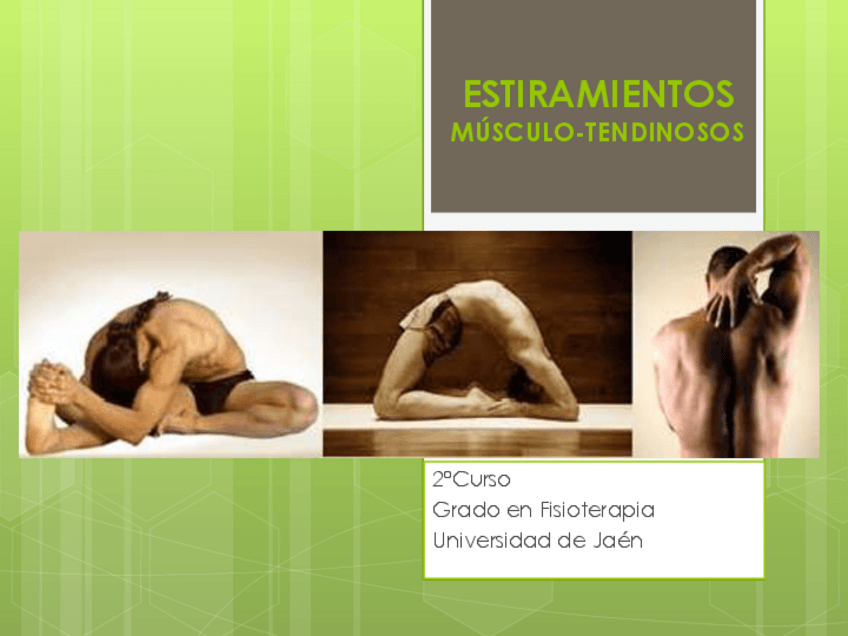 Miniatura del documento Practica-estiramientos-miotendinosos-I.pdf