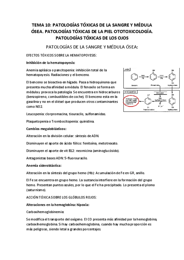 Miniatura del documento tema-10-.pdf