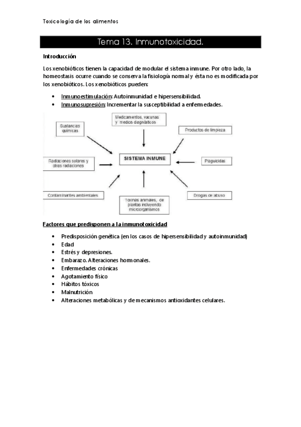 Miniatura del documento T13.pdf