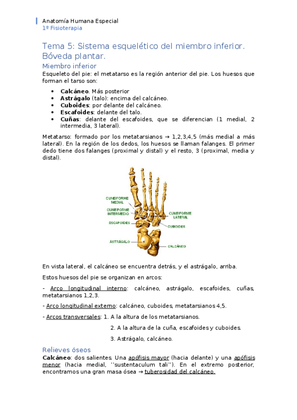 Miniatura del documento APUNTES-tema-5.docx