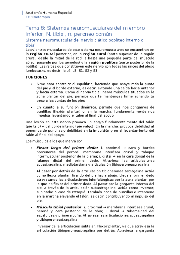 Miniatura del documento APUNTES-tema-8.docx