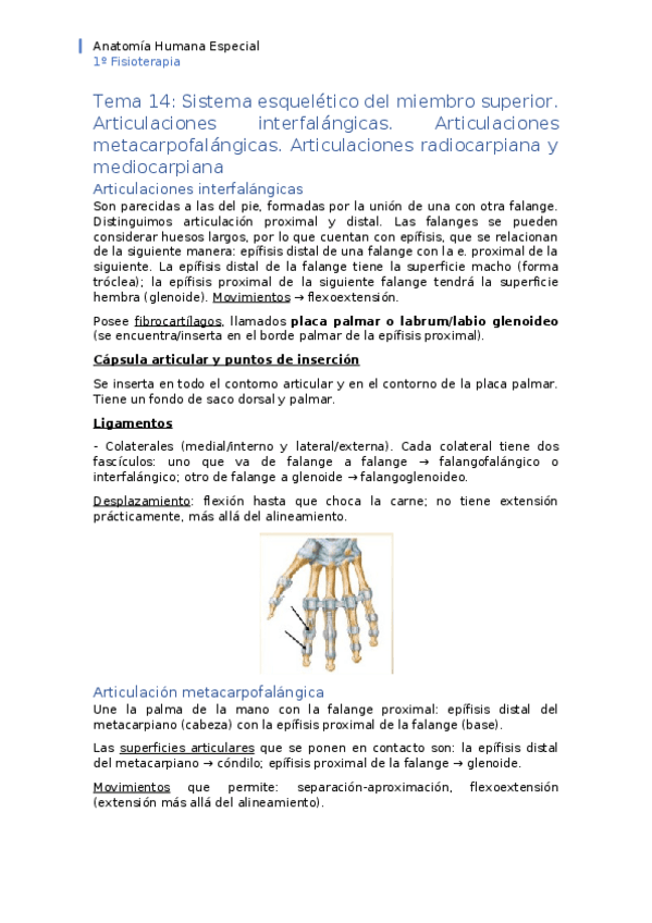 Miniatura del documento APUNTES-tema-14.docx