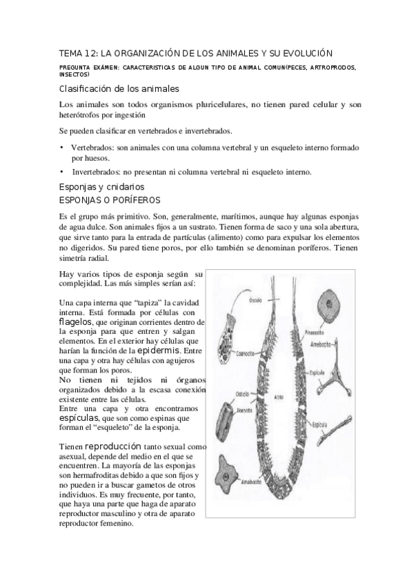 Miniatura del documento TEMA-12.docx