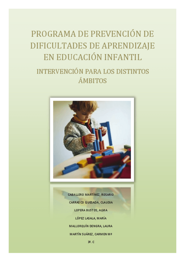 Miniatura del documento plan de intervencion.pdf