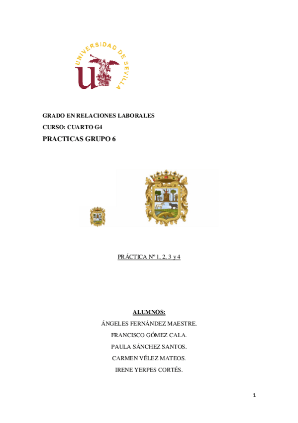 Miniatura del documento Practica-Completa.pdf