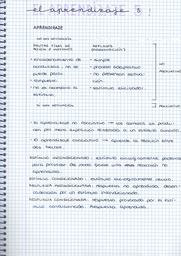 Miniatura del documento 716C4321-47E7-4A05-AA41-078D1579FE0C.jpg