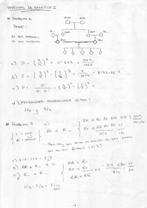 Miniatura del documento Practicas de Genetica I.PDF