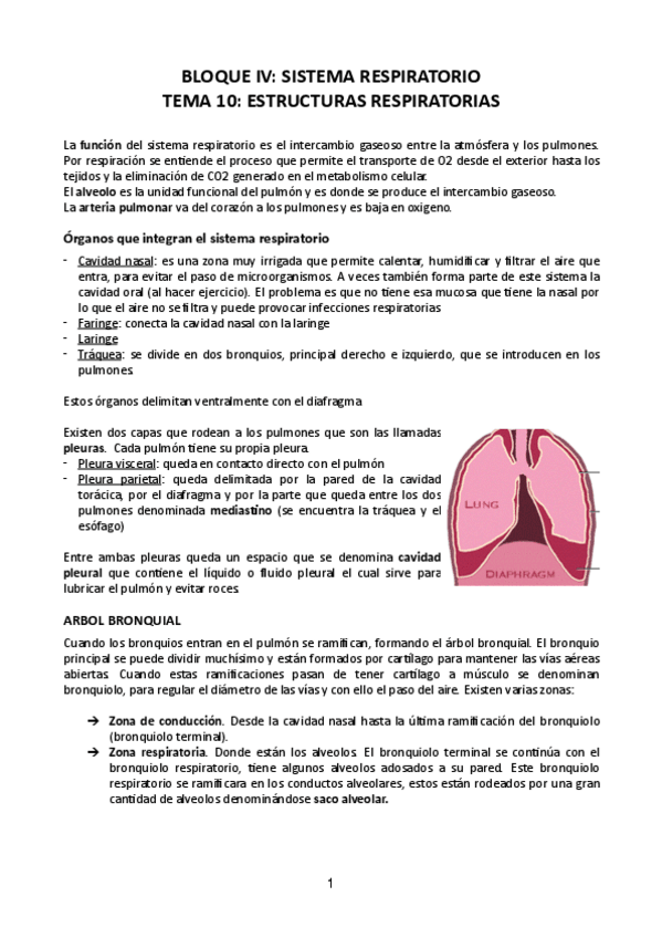 Miniatura del documento Tema-10.pdf