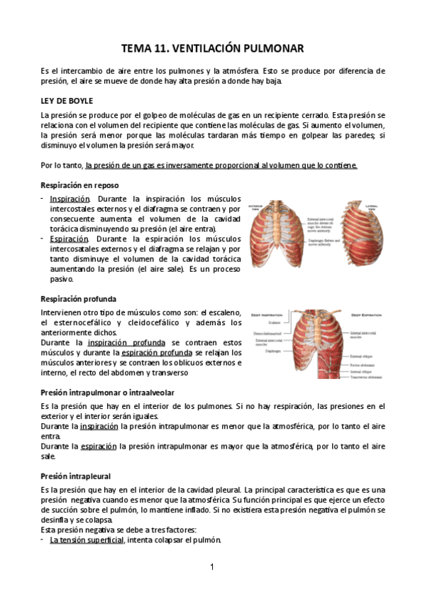 Miniatura del documento Tema-11.pdf