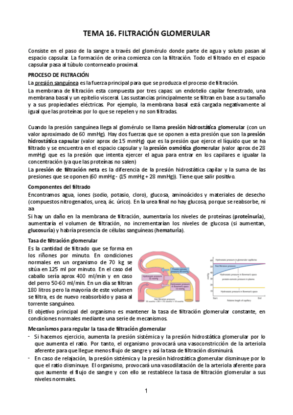 Miniatura del documento Tema-16.pdf