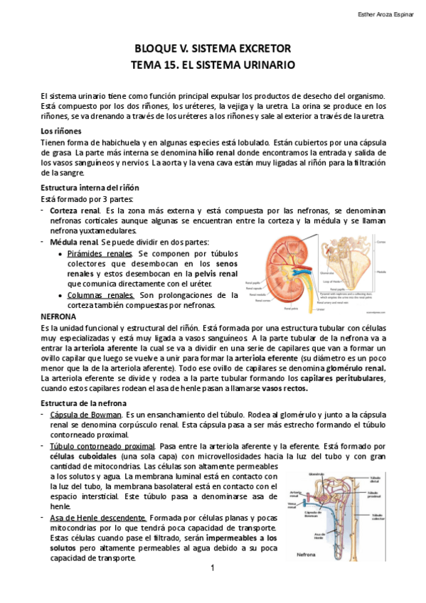 Miniatura del documento Bloque-V.pdf