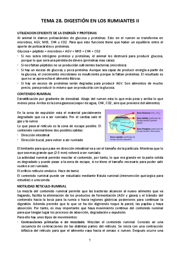 Miniatura del documento Tema-28.pdf