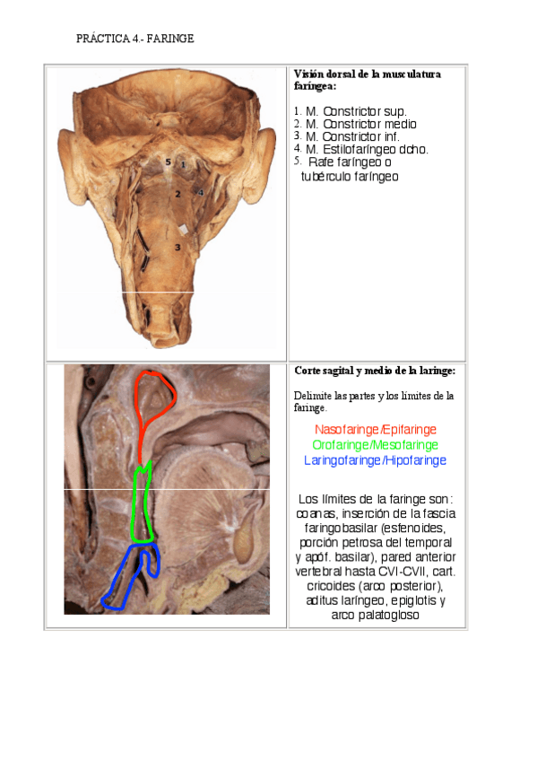 Miniatura del documento 1Practica-2.pdf