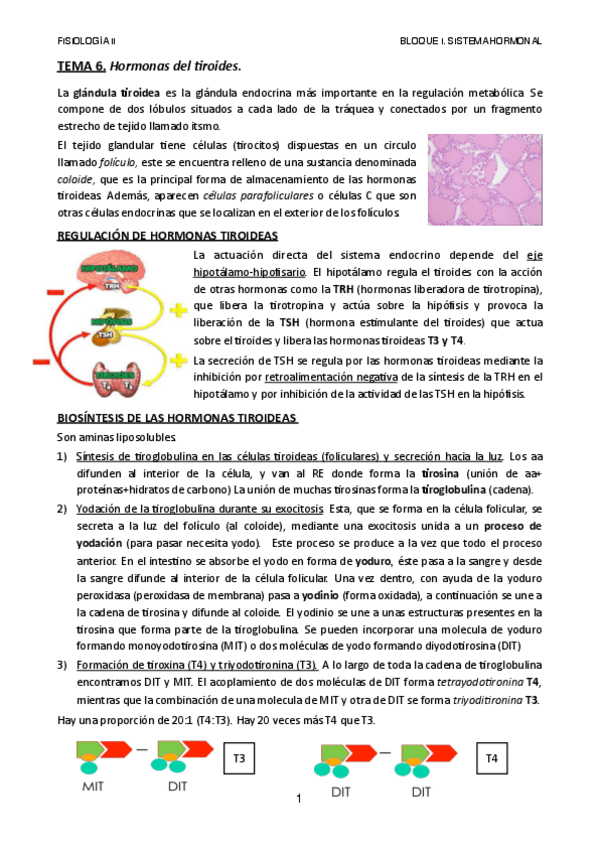 Miniatura del documento TEMA-6-2.pdf