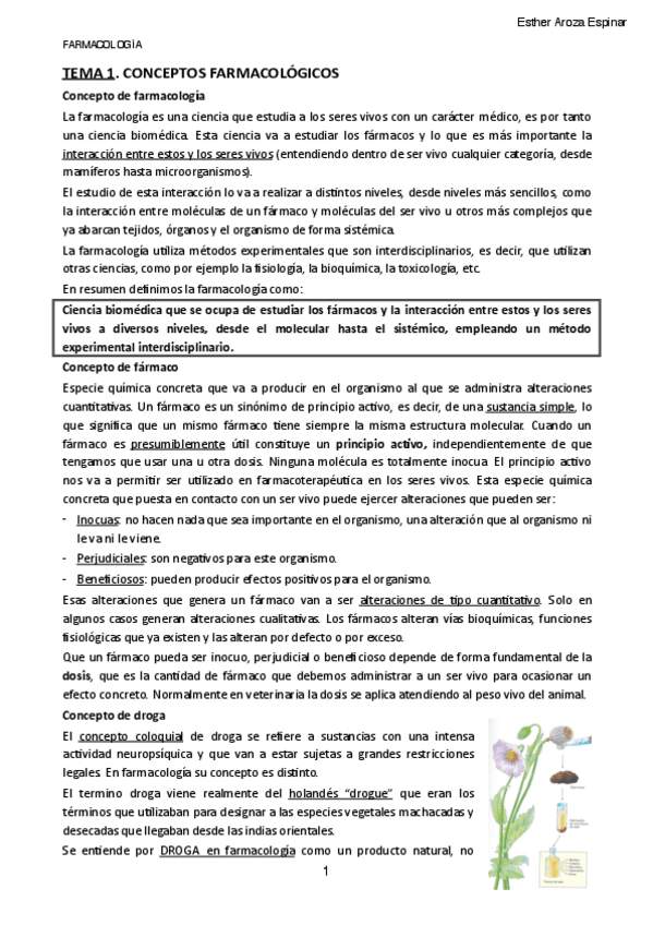 Miniatura del documento TEMA-1.pdf
