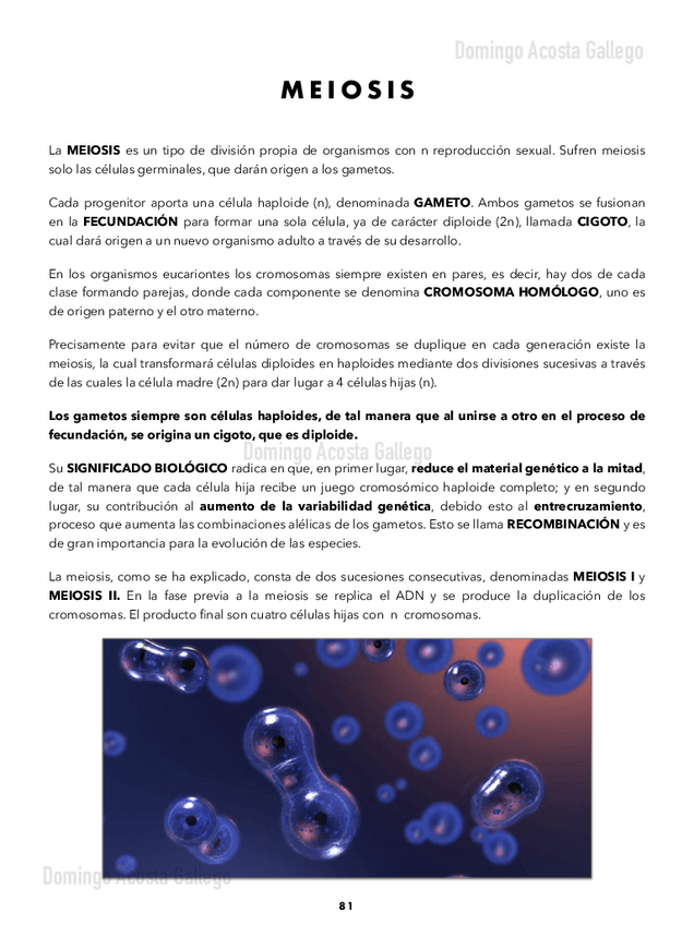 Miniatura del documento Meiosis-Gametogenesis-y-Desarrollo-Embrionario.pdf