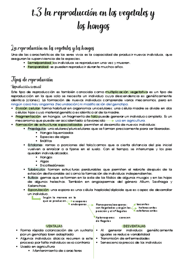 Miniatura del documento Tema-3-La-reproduccion-en-los-vegetales-y-los-hongos.pdf