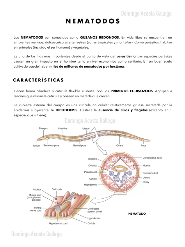 Miniatura del documento Nematodos.pdf