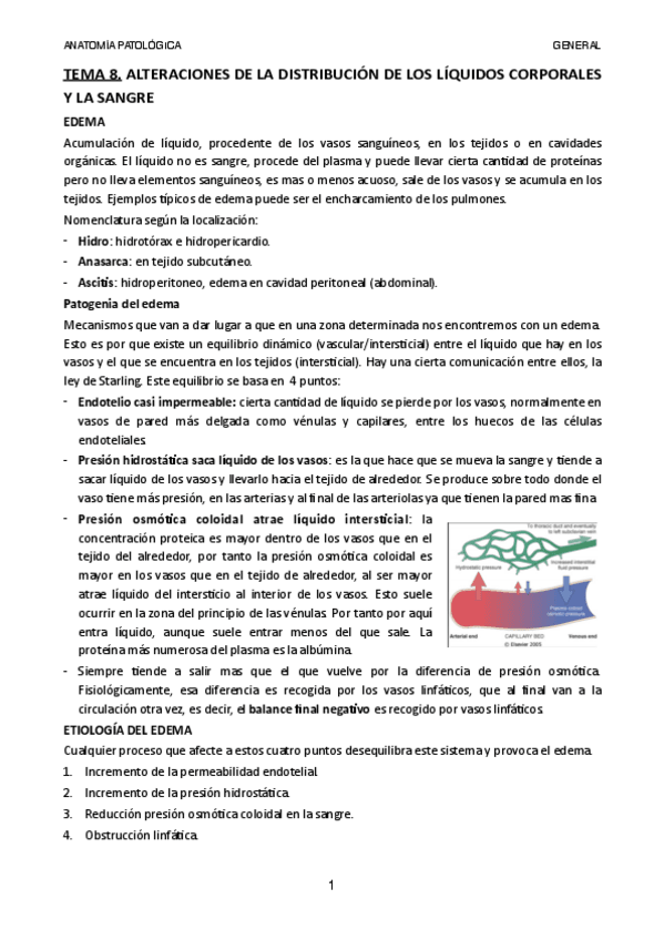 Miniatura del documento Tema-8.pdf